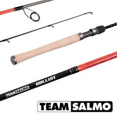 Спиннинг Team Salmo Салмо Ballist 5-22g 2.10m