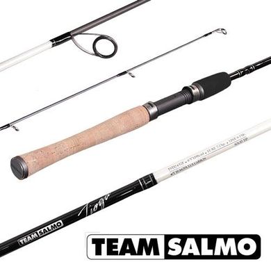 Спиннинг Team Salmo Салмо Tioga 7-23g 1.98m